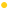 bullet